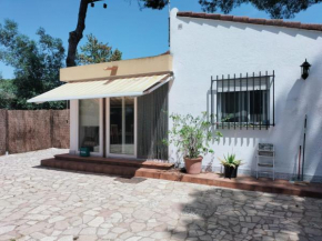 Macondo